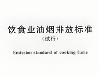 酒店廚房設(shè)備生產(chǎn)廠家和聊聊國(guó)家對(duì)餐飲行業(yè)油煙排放的要求
